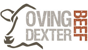 Oving Dexter Beef